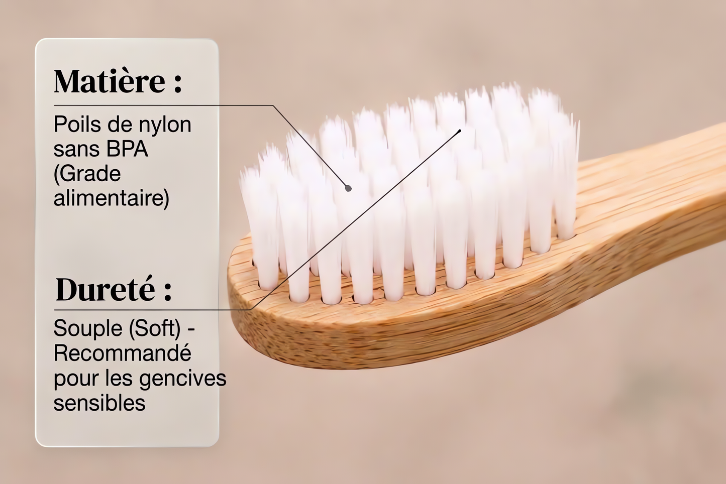 Brosse à dents en bambou naturelle | Bucail